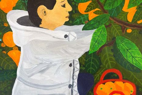 귤(꿈)을 따는 모습